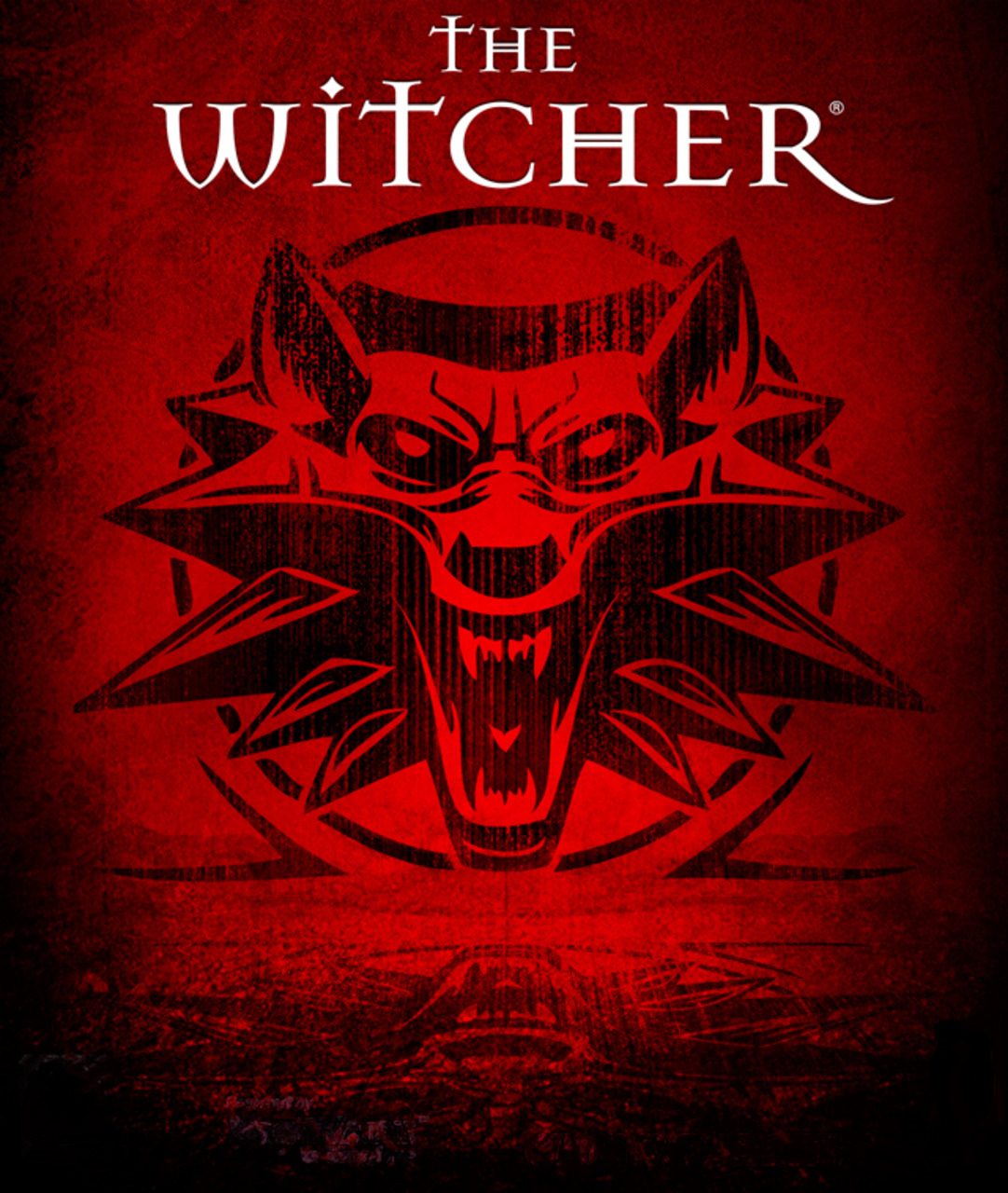 Jaquette de The Witcher